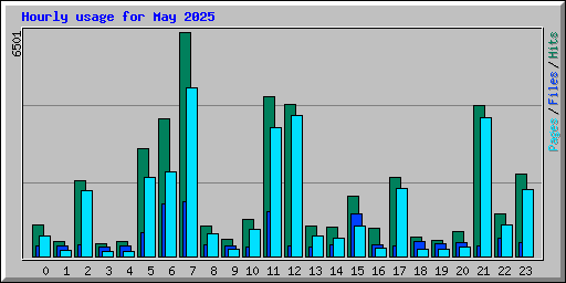 Hourly usage for May 2025