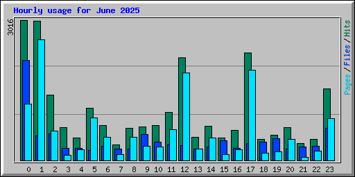 Hourly usage for June 2025
