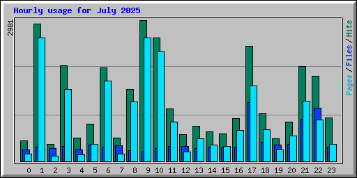 Hourly usage for July 2025