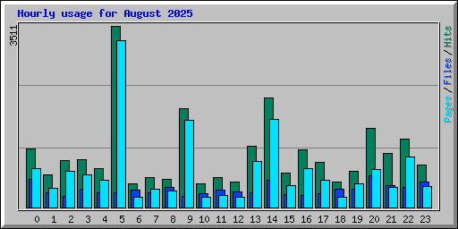 Hourly usage for August 2025
