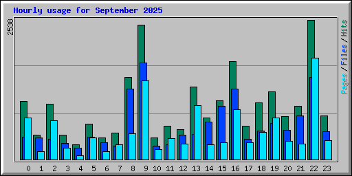 Hourly usage for September 2025