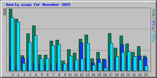 Hourly usage for November 2025