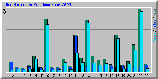 Hourly usage for December 2025