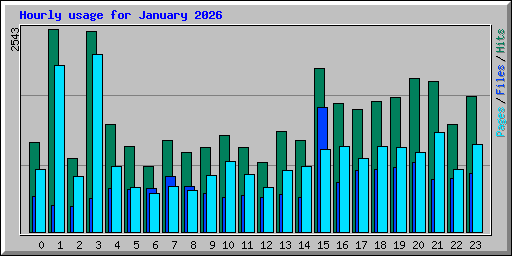 Hourly usage for January 2026