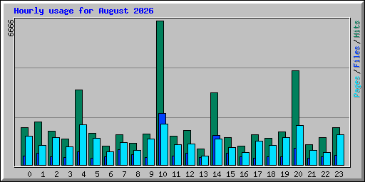 Hourly usage for August 2026