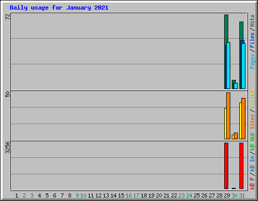Daily usage for January 2021
