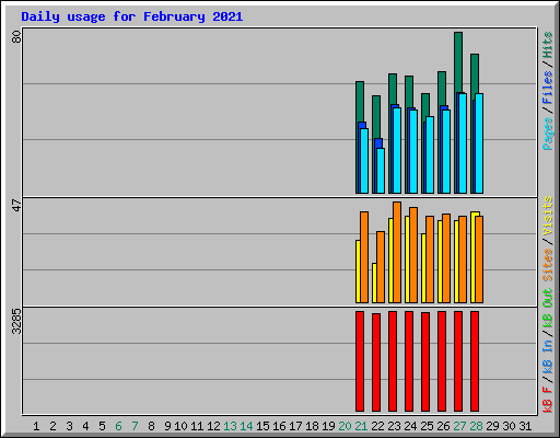 Daily usage for February 2021