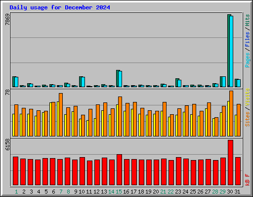 Daily usage for December 2024