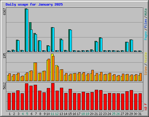 Daily usage for January 2025