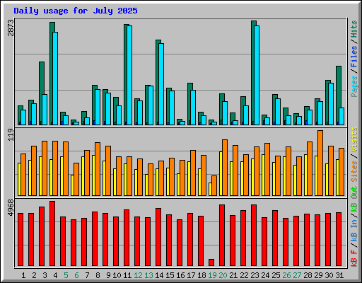 Daily usage for July 2025