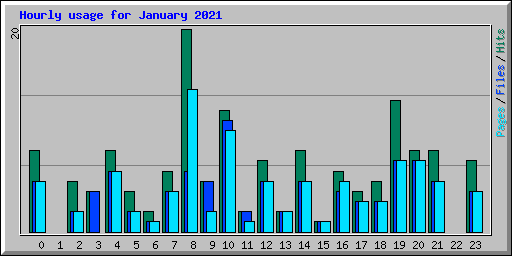 Hourly usage for January 2021