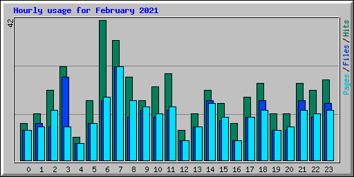 Hourly usage for February 2021