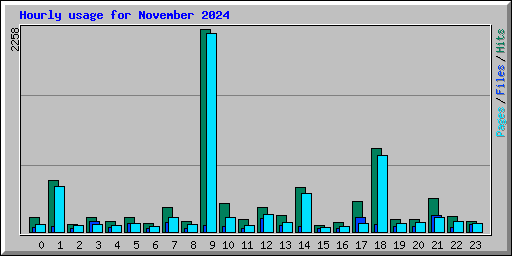 Hourly usage for November 2024