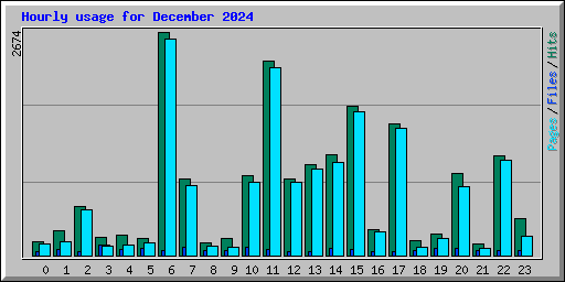 Hourly usage for December 2024
