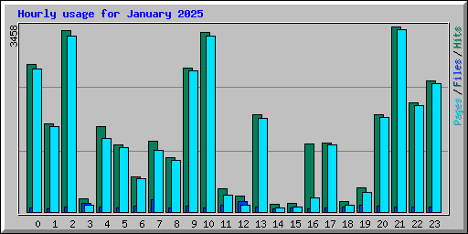 Hourly usage for January 2025