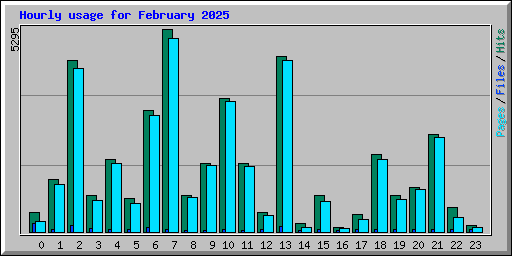 Hourly usage for February 2025
