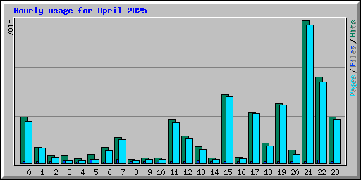 Hourly usage for April 2025