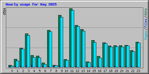 Hourly usage for May 2025