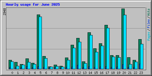 Hourly usage for June 2025