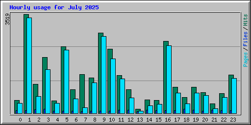Hourly usage for July 2025