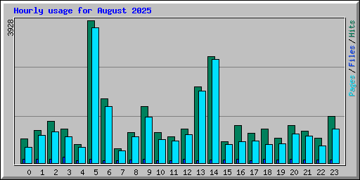 Hourly usage for August 2025