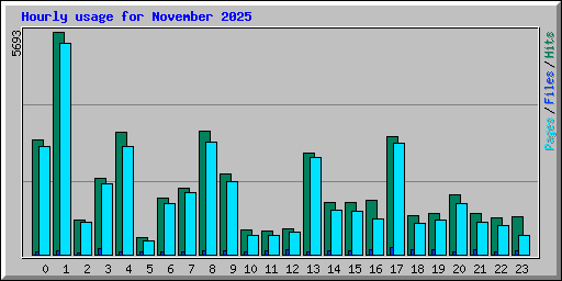 Hourly usage for November 2025